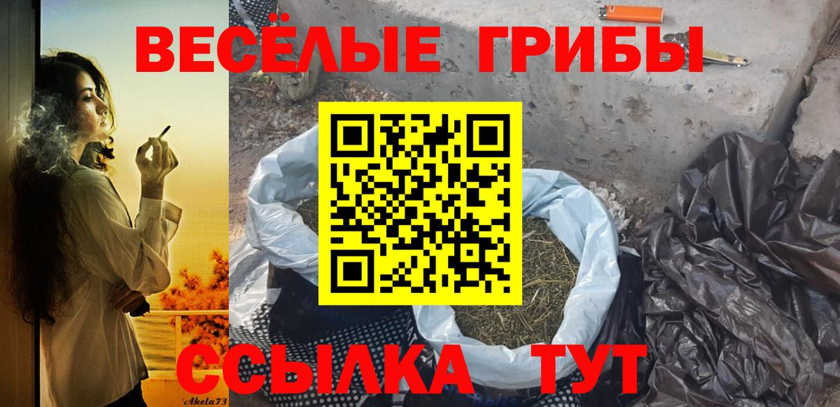 Галлюциногенные грибы Magic Shrooms Кировск