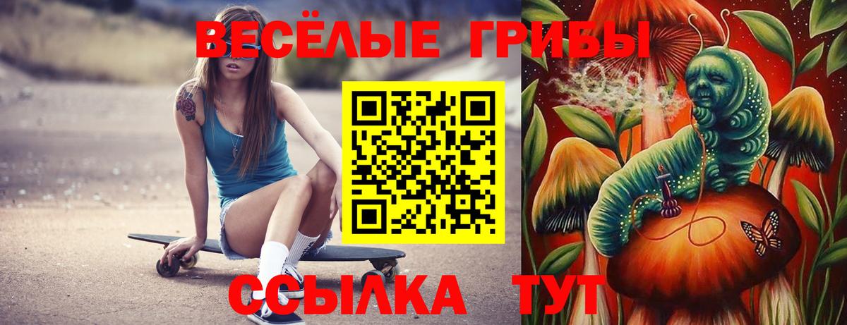 Кировск  Галлюциногенные грибы ЛСД  Вход с VPN 